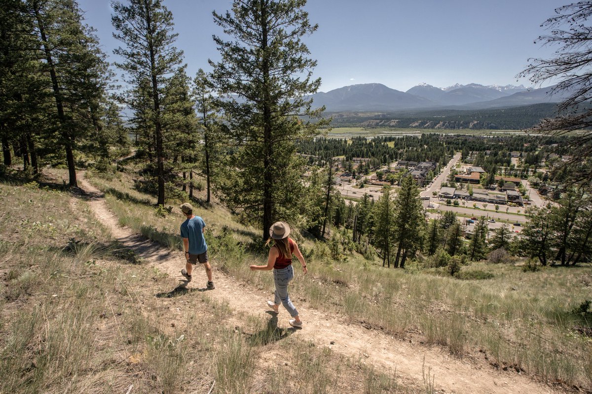 Tourism Radium tweet media