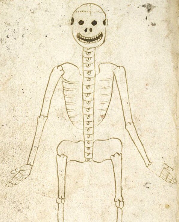RT @WeirdMedieval: skeleton, england, 15th century https://t.co/Wu6jjT3Bvn