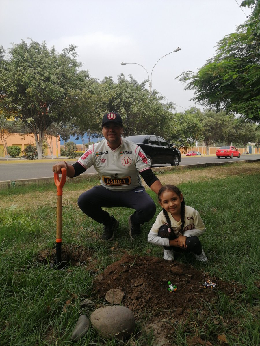 gogreen_peru's tweet photo. Gracias. Eduardo Garay por participar en la 3era campaña de arborización alrededor del 🏟MonumentalU.

#PlantaUnArbol #SiembraFuturo #GoGreenPeru #AdoptaUnArbol #EstadioMonumentalU https://t.co/P3FDgd5e8D