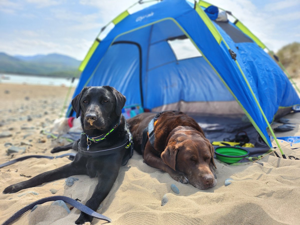 We've  had a fabby weekend in Wales. Fanks mum for the holibobs