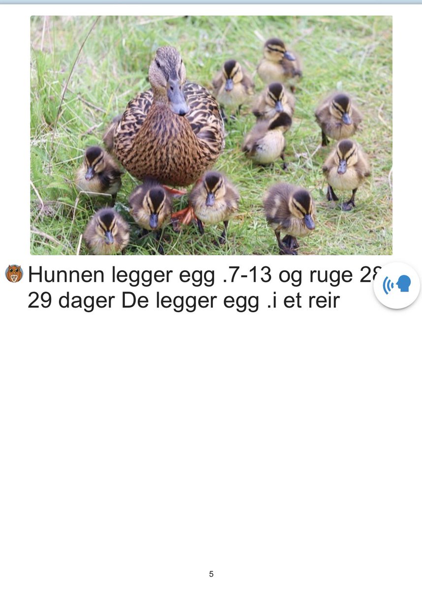 Hva vet du om Stokkanda?

Kanskje kunnskapen din er litt tynn her… Fortvil ikke! Les boka til Martine, 7 år, og få mer kunnskap om denne nydelige fuglen❤️