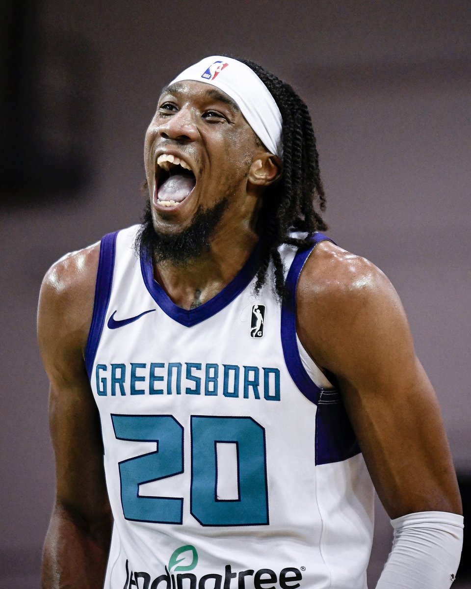 greensboro swarm mascot