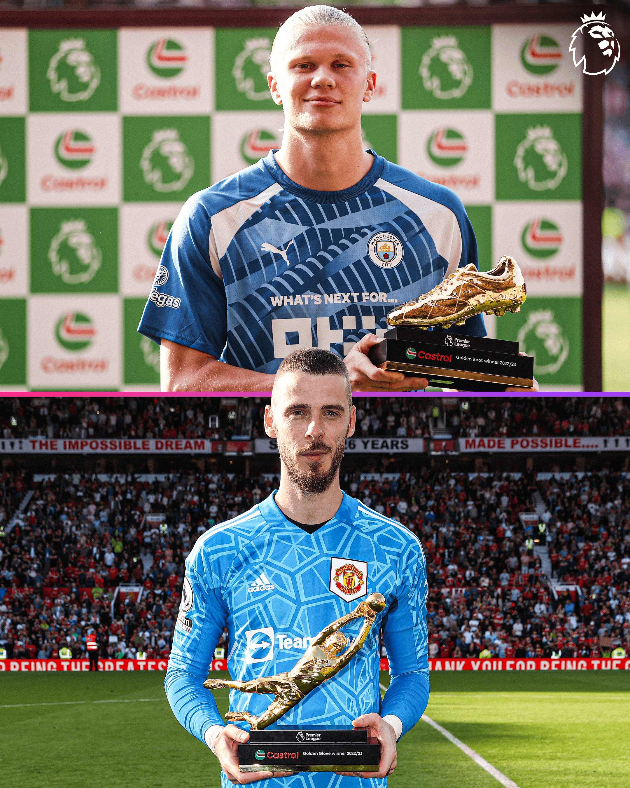 Premier league discount golden glove
