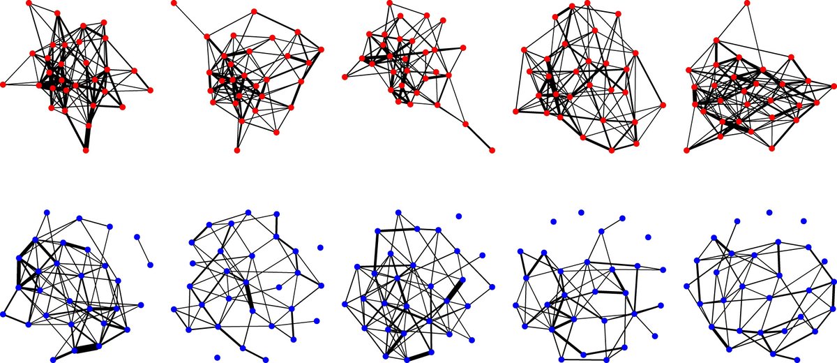 Group composition of individual personalities alters social network structure in experimental populations of forked fungus #beetles  ow.ly/bKvi50ItHXC #insectbehaviour #BiologyLetters