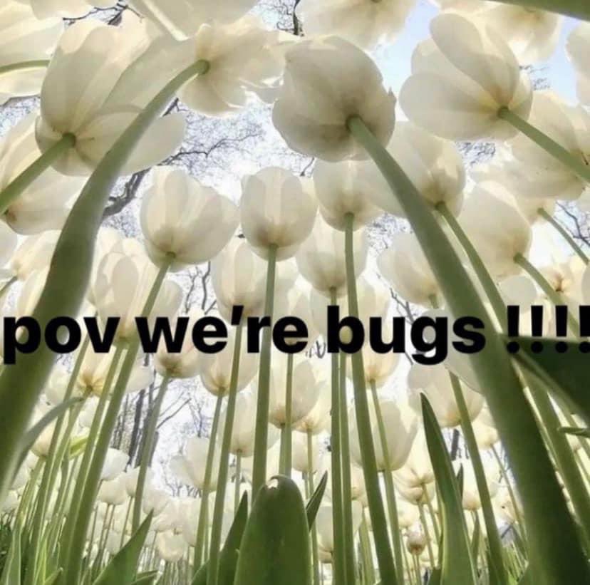 WholesomeMeme's tweet photo. https://t.co/xiL8QZ8Gbi