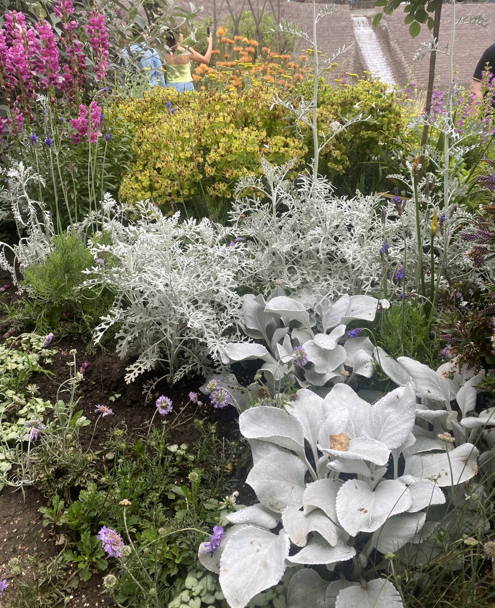 4rach4's tweet photo. flowers flowers flowers 🩷💐 https://t.co/46p96qWxyk