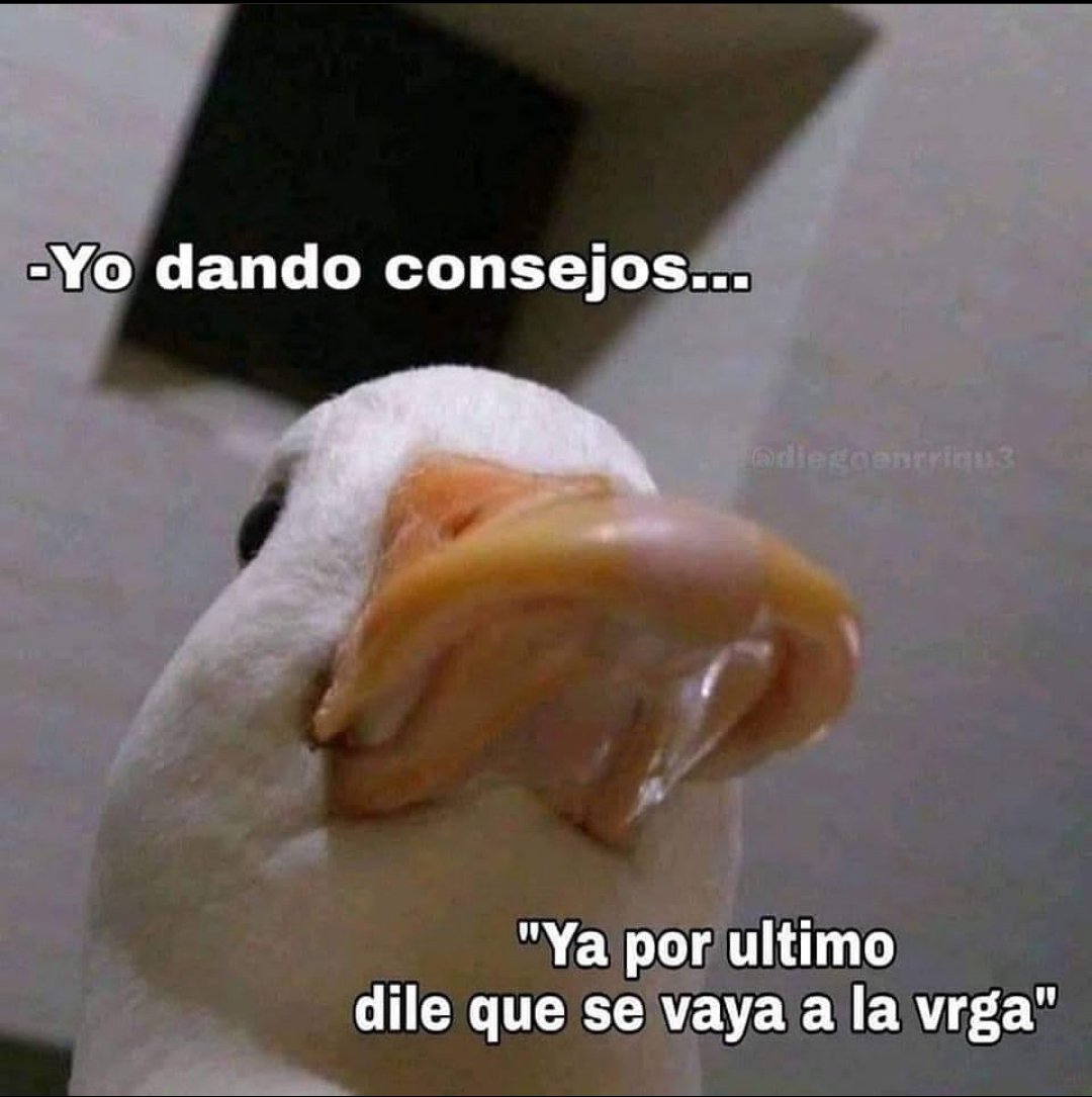elconde_nad0's tweet photo. https://t.co/NUHQyrRBM3