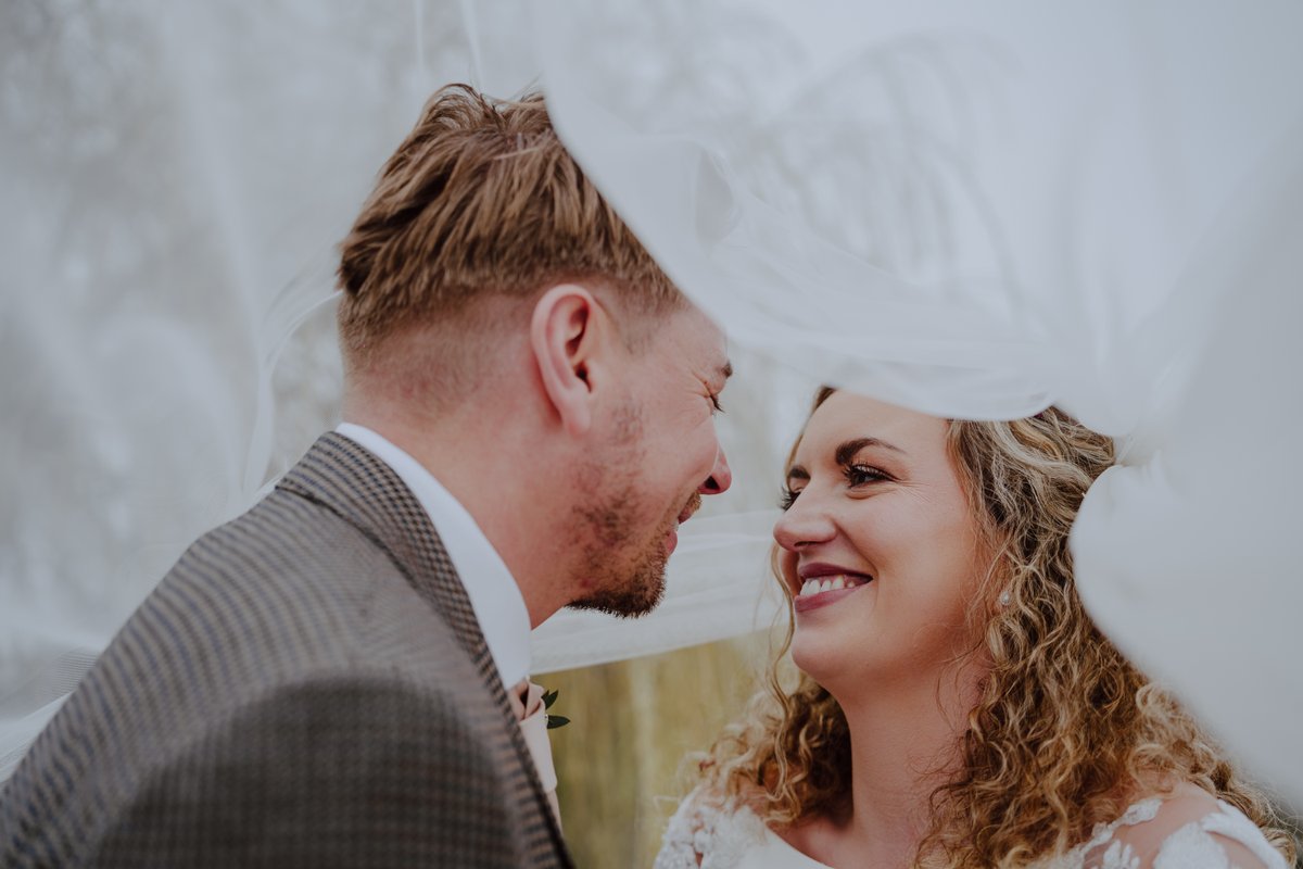 Tess Viera tweet media