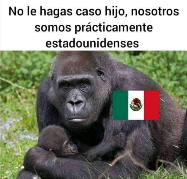 AlvarezElias20's tweet photo. @AntonioHetema @sindicatodedom4 https://t.co/SrbgjJ3UCR