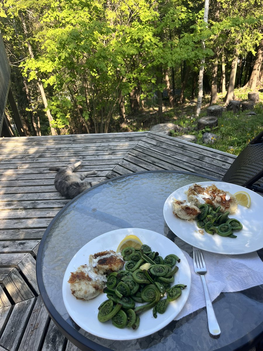 Julia Wright tweet media