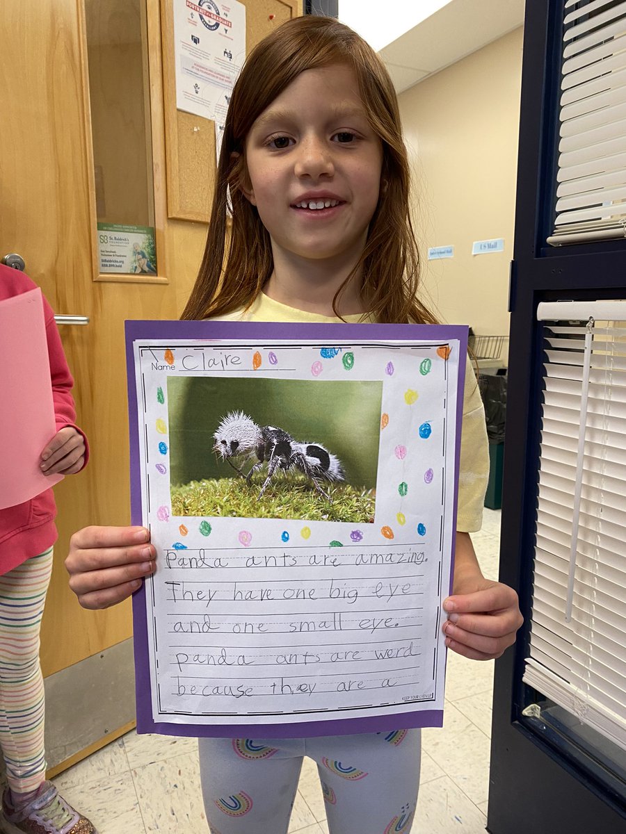MADISONCUSD200's tweet image. First Graders research and share their learning about some very unique creatures! They each were excited to teach the principal something today! #yourcommunityschools #madisonstrong