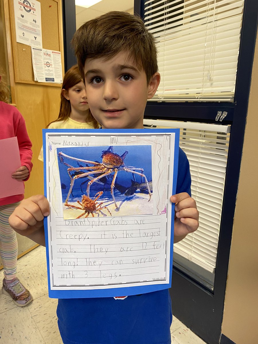 MADISONCUSD200's tweet image. First Graders research and share their learning about some very unique creatures! They each were excited to teach the principal something today! #yourcommunityschools #madisonstrong