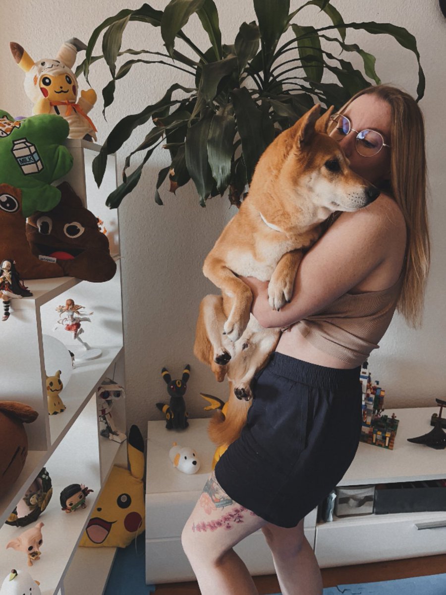 JustMyvi's tweet photo. Mein Schweini 💕

#ShibaInu #dogmom #twitch #TwitchAffliate #twitchdeutschland #streamergirl #love @TwitchSupportDE @Milschbaum https://t.co/4H2T7I3mWL