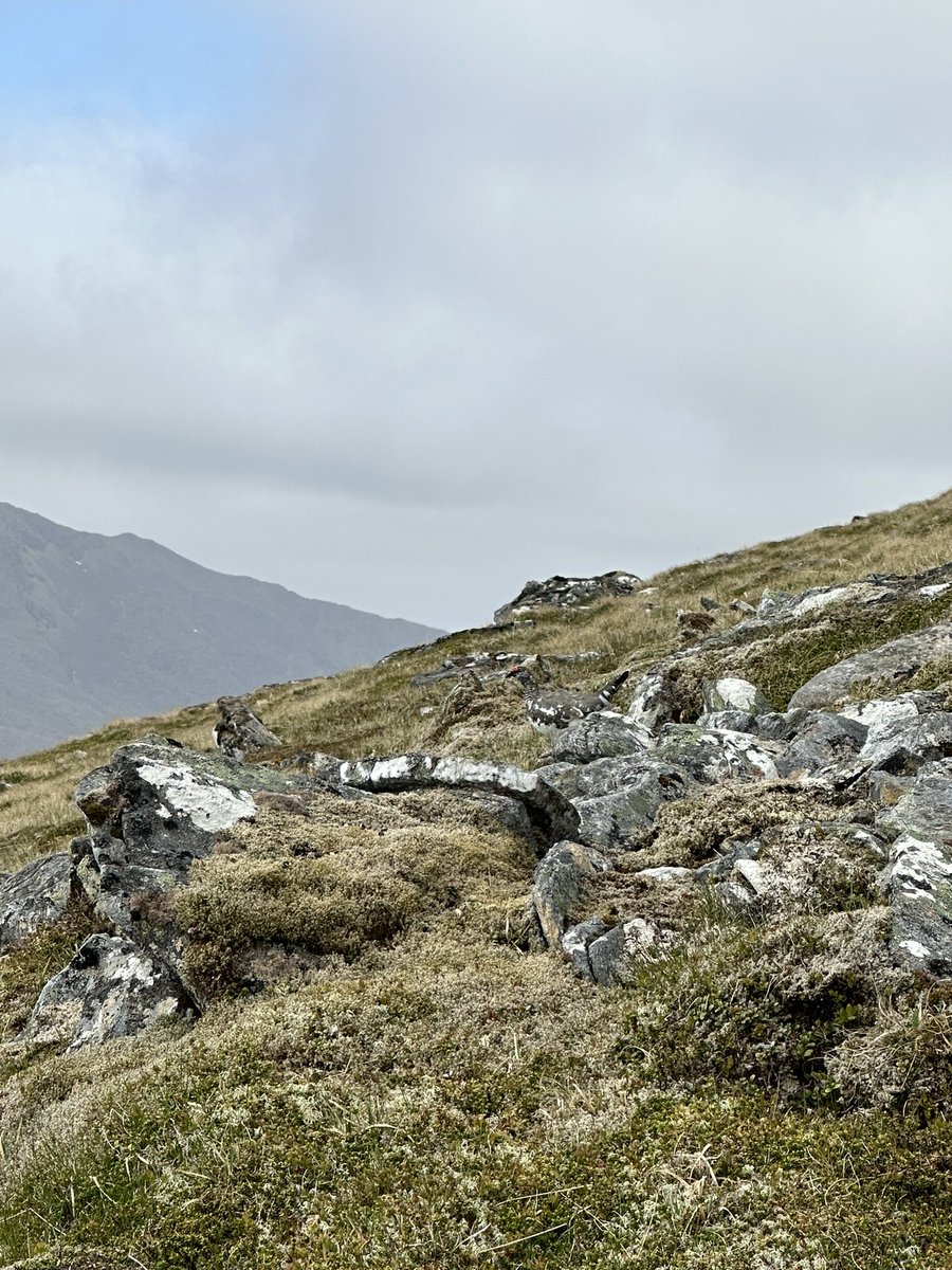 Richard Taylor tweet media