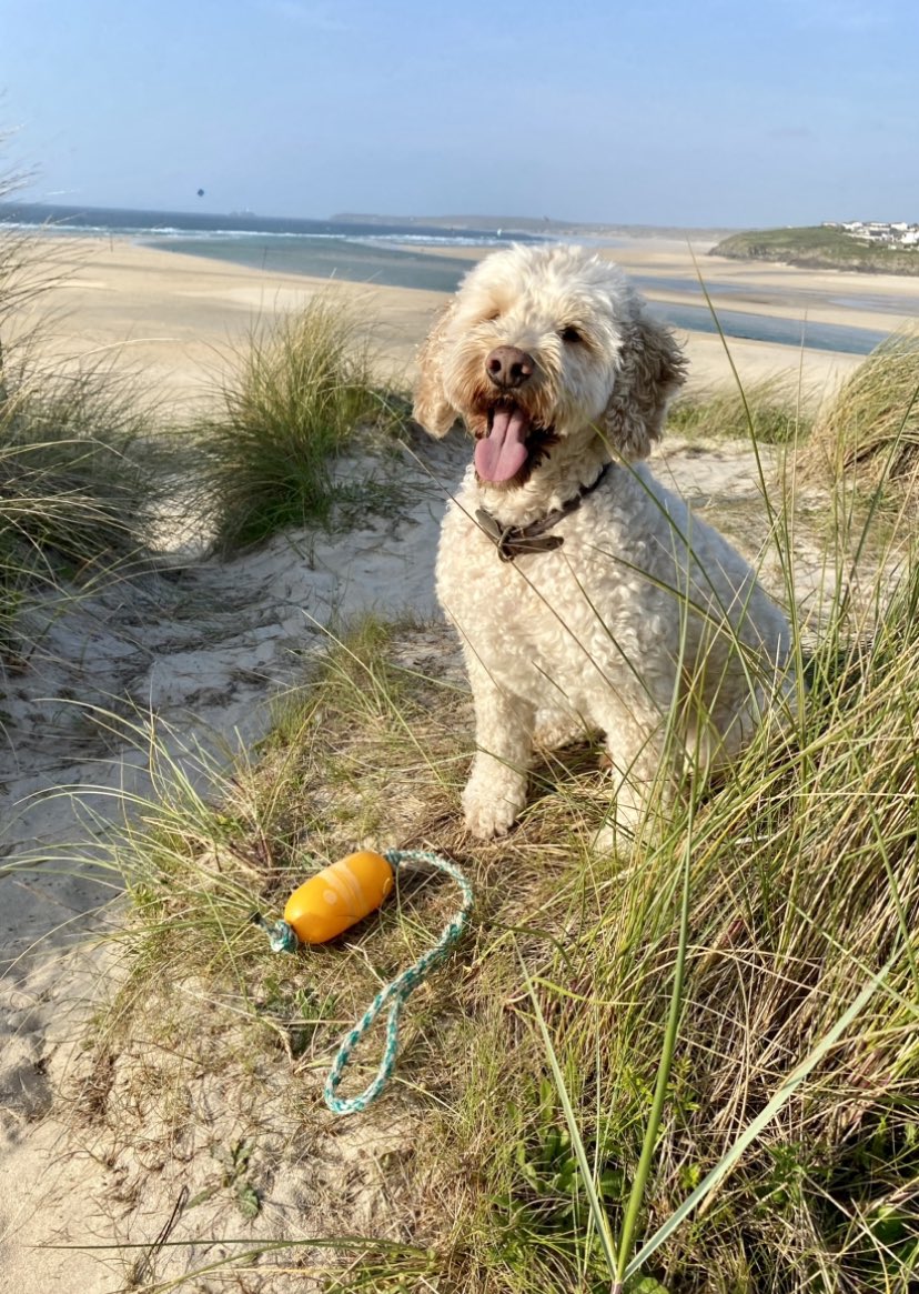 🪼🦞🐋🐡
Only 3 more days for Mays #StrangestFind and 
April/May #RubbishMakeOver lots of Cleaning left yet. 
Get posting and tagging to have a chance of winning @cornishSpliced keyrings and  a Wreath and  <a href="/DragonsEggSoaps/">DragonsEggSoaps</a> Soaps. 
<a href="/KeepBritainTidy/">Keep Britain Tidy</a> <a href="/2minuteHQ/">The 2 Minute Foundation</a> 
☀️🐚🐠🐡🐳🐬🐙🦭🪸🪼