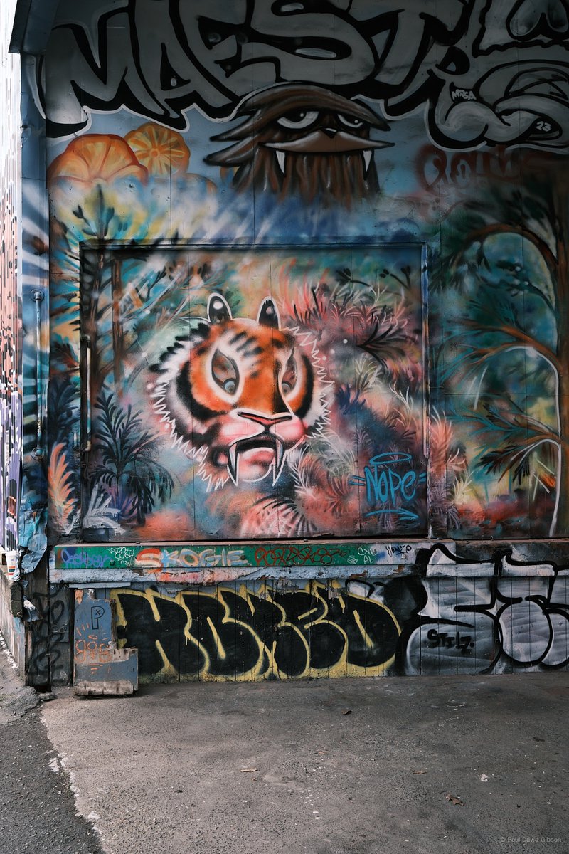 pdgibson's tweet photo. Ballard
Seattle, WA
April 2023

#seattle #ballard #grafitti #streetart #colorphotography #urbanphotography #streetphotography #fujifilm_street #seattlestreetphotography #streetsseattle #fujifilm #fujixshooters #fujifilmx_seattle #fujixt5 #xf23mmf14 #fujilove  @fujifilmx_us https://t.co/U8eg1C9A3u