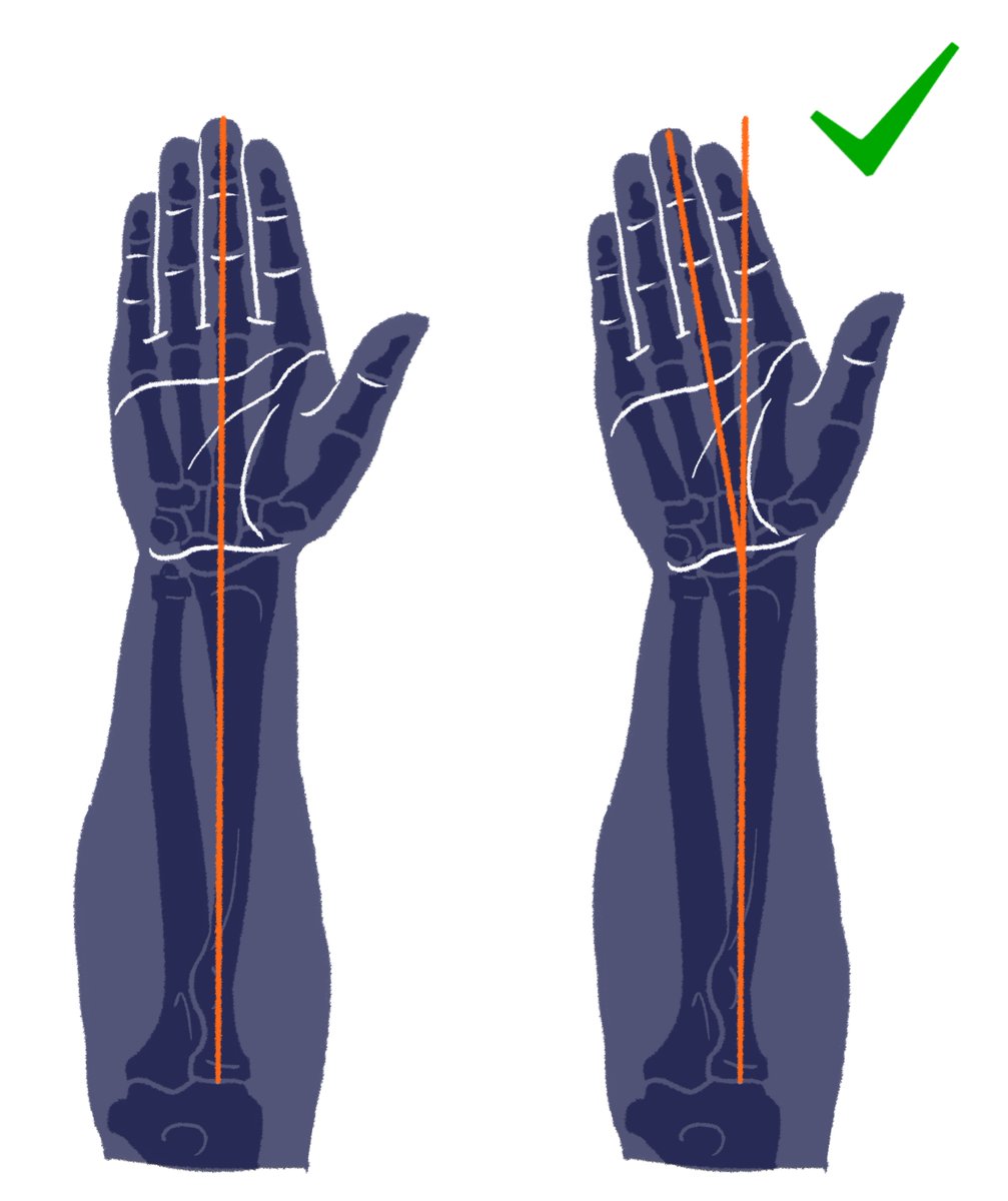 「自然な状態の手と前腕の軸。まっすぐにもできるけど、力が入っている状態。」|伊豆の美術解剖学者のイラスト