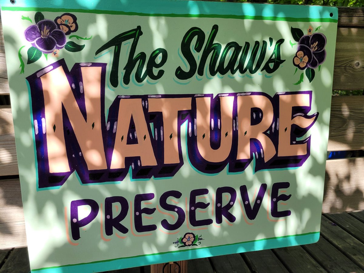 The lilacs are absolutely killing it this year.  Keep up the good work team!