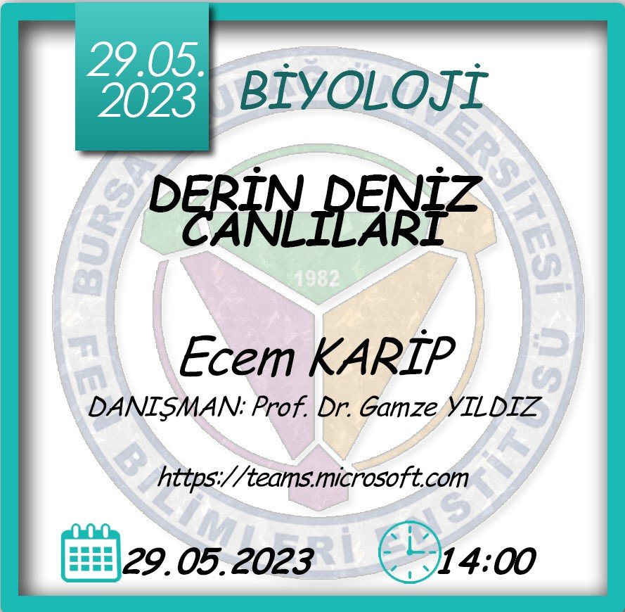 📍29 Mayıs(4) Tarihindeki Seminer Sunumları 🥳

Seminerlere ulaşmak için linki tıklayınız👇 uludag.edu.tr/fenbilimleri/h…

@uludaguniversitesi
@uludag_kurumsal

#bursauludağüniversitesi #bursauludağüniversitesifenbilimleri #yükseklisansseminerleri #doktoraseminerleri #seminer