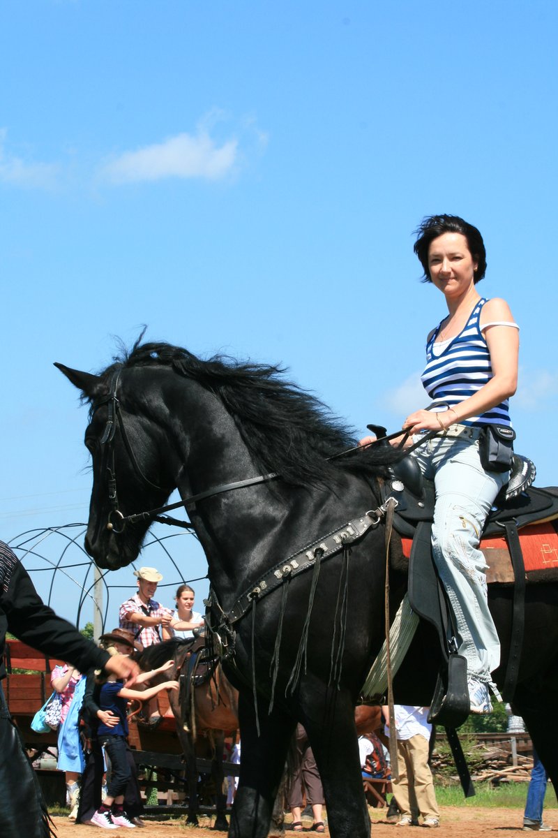 My story is about horses. #elena_krivoruchenko #animalartists #lovehorses  #aquarelleart #equestrian #equineart
