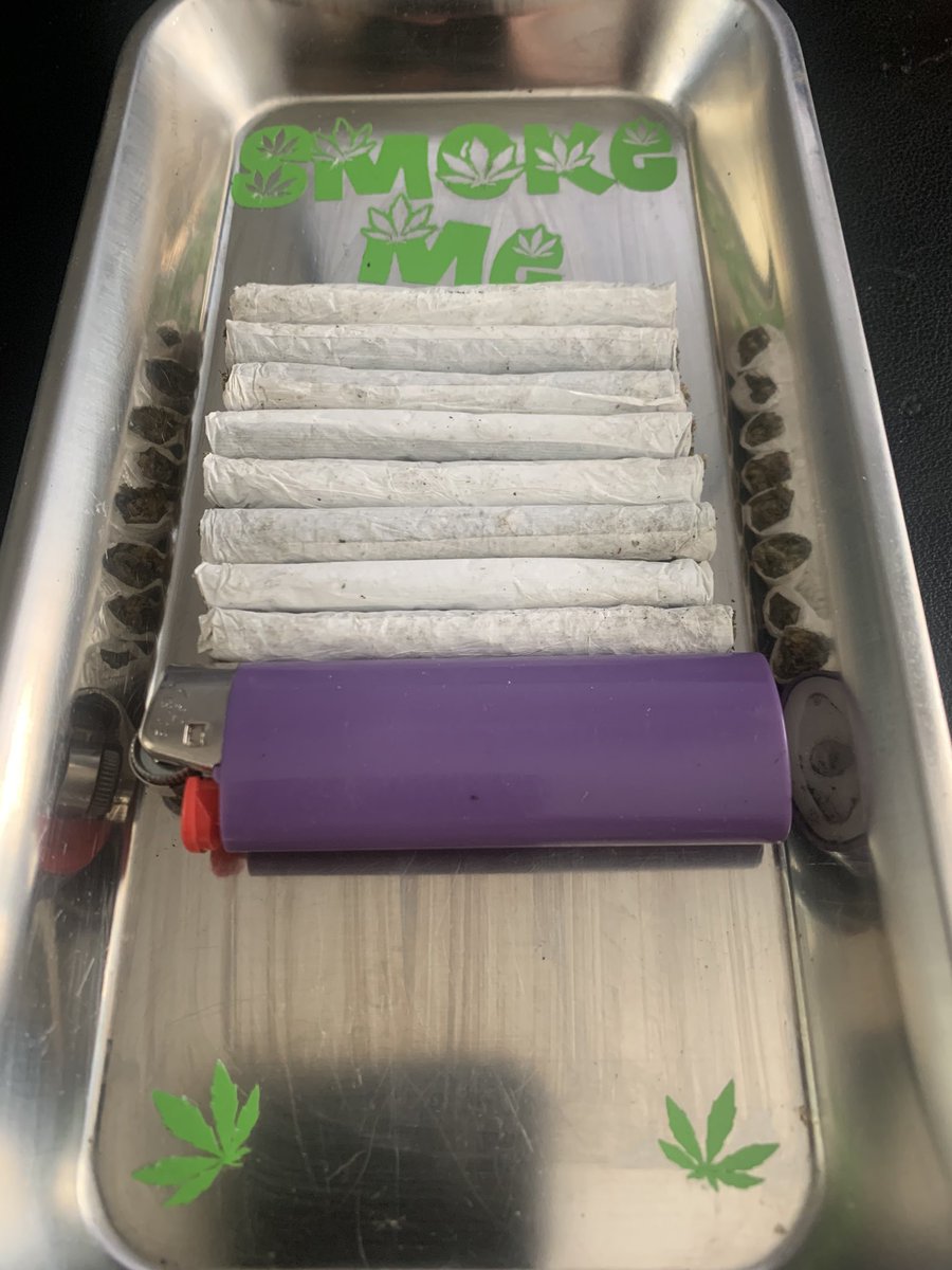 Loupey Gardener (@loupeygardener) on Twitter photo 