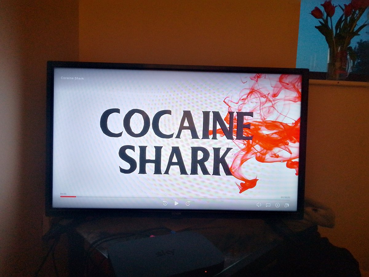 Fiery_Sapphire's tweet photo. @JeffKirkendall1    @PoloniaBros_Ent

Tonight's viewing!!  🦈😂 https://t.co/E1ruxrXBta