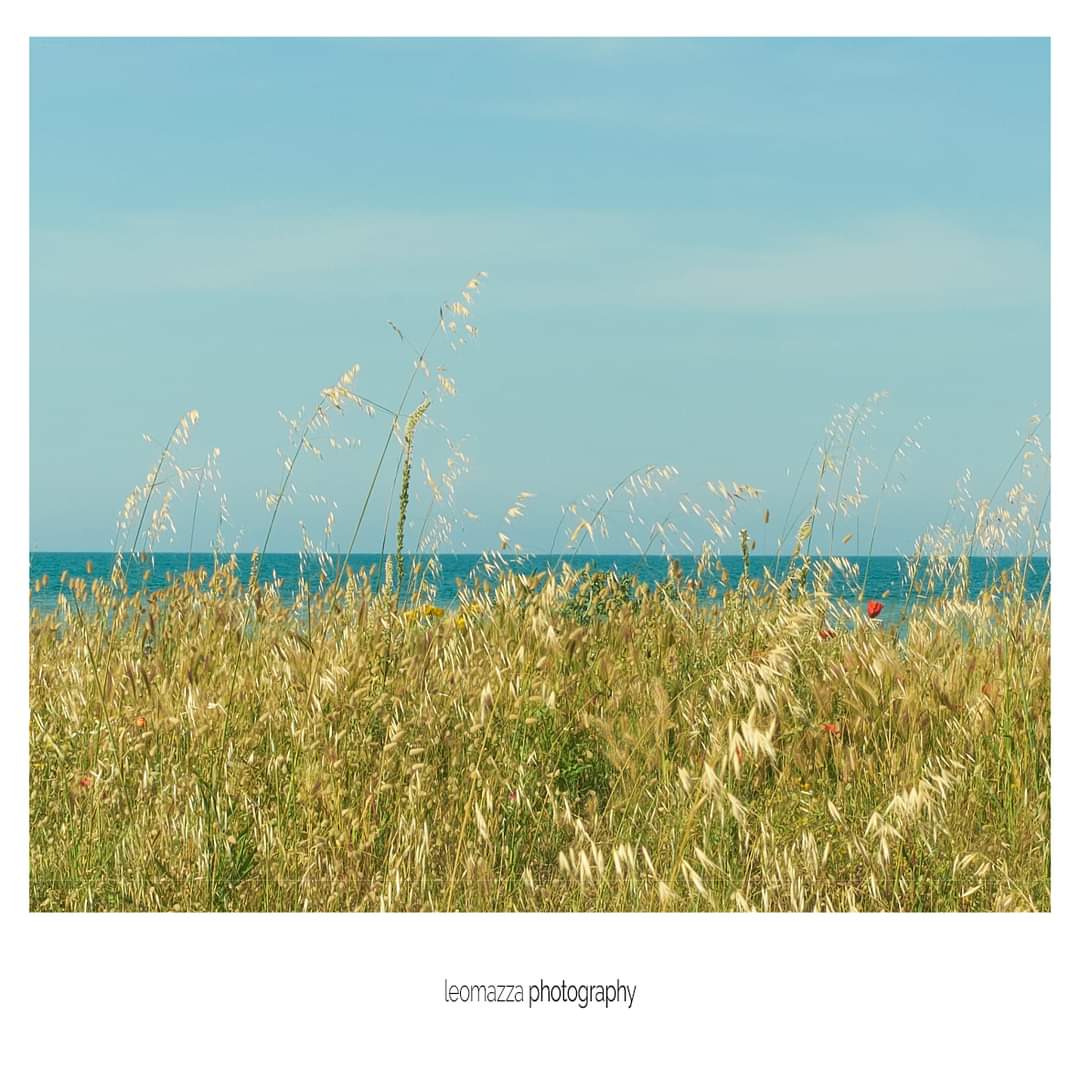 Orizzonti marini
#sea #estate #mare #calabria #marionio #schiavoneabeach #nuvole #ionio #nuvolebianche #seastreetbeach #seastreet #fujifilm #fujixe1