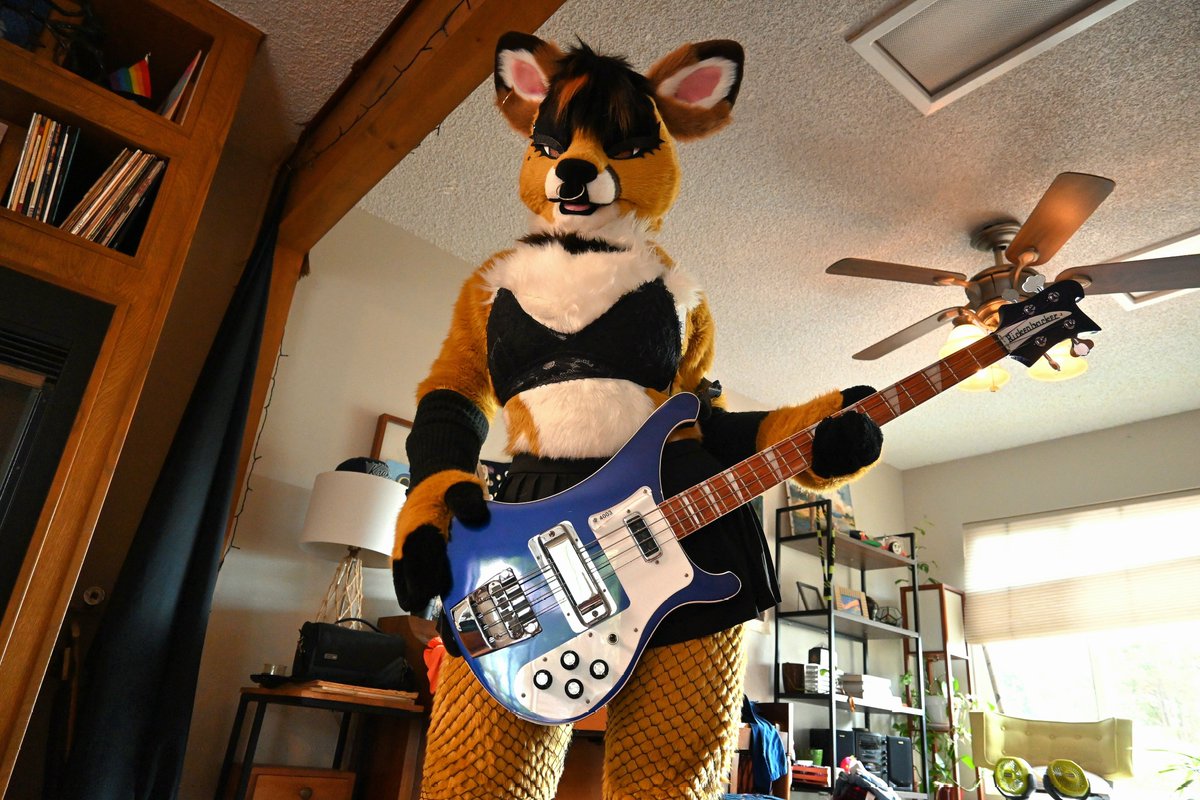 Lotus lafawn furry