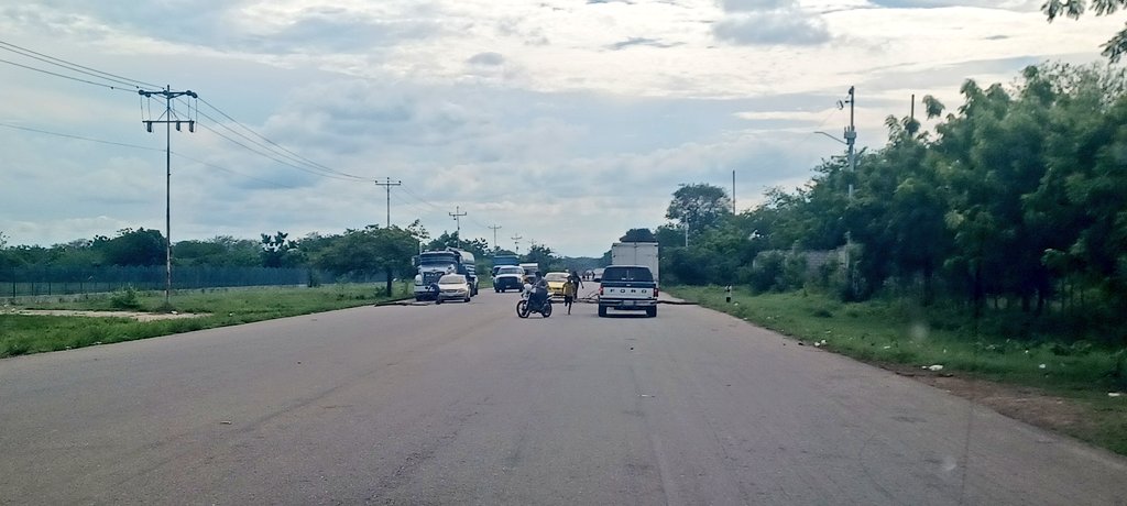 Gerardo Avila tweet media