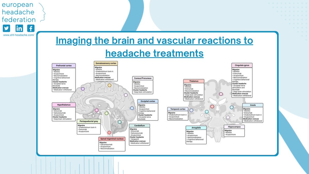 A new review by @Roberta_M123 et al. aims to provide a comprehensive overview and critical appraisal of mechanisms of actions of headache treatments and potential biomarkers of treatment response disclosed by imaging studies. Read the full article here: doi.org/10.1186/s10194…