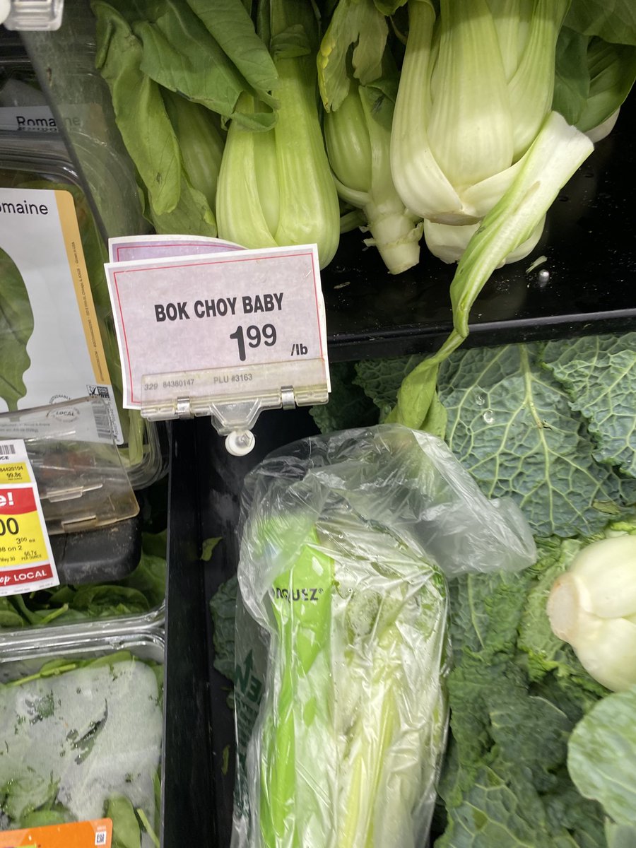 BOK CHOY BAYBEEEEEEE