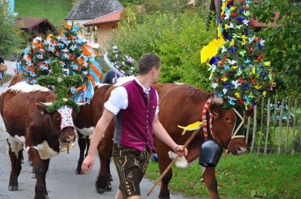40PercentGerman's tweet photo. It's Pfingstmontag today in #Germany, celebrating Pfingsten (Pentecost/Whitsun).

The week is packed with festivities: Frankfurt has Wäldchestag, Halle has Knoblauchsmittwoch, in Bayern some villages name one lazy bugger "Pfingstochse" (Pfings-Ox) or the last to get out of bed. https://t.co/rdBRmP2peU