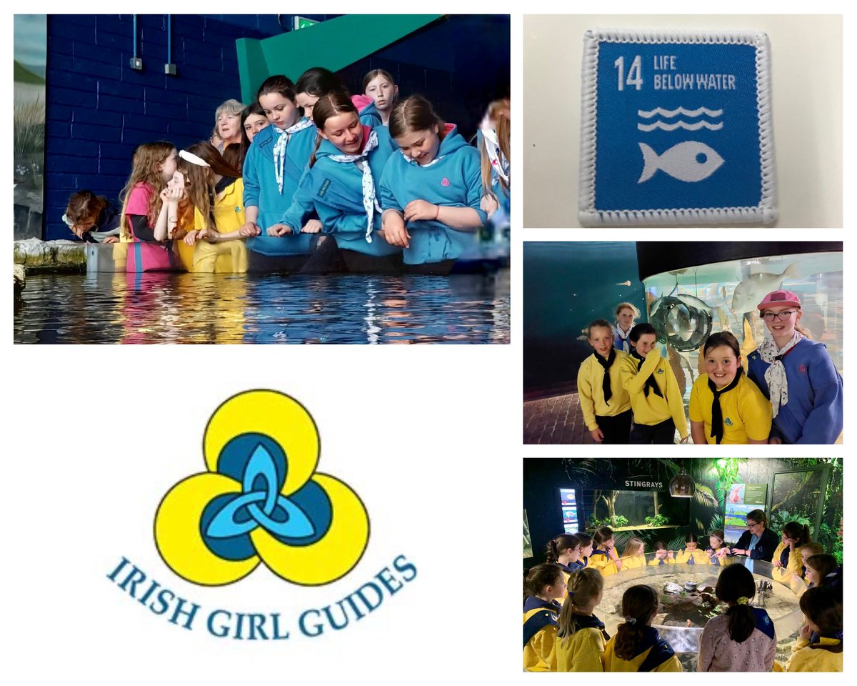 Our Team was thrilled to meet ladybirds, brownies, guides, leaders and senior branch members from Galway @IrishGirlGuides today, as they celebrated the launch of the new #SDG14 Life Under Water badge 🌍🥳🐙🐋💙