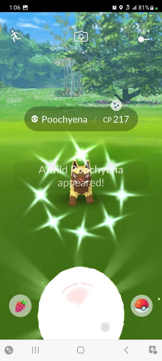 lblancelot's tweet photo. Today.... picked up 2 more yollow wolfies. That's 4 so far since event started. 🤦♀️ Not to mention Shiny Shadow Mewtwo with horrible IV's. 🤦♀️ ...but I got one. 🤷♀️ ✨✨✨
#PokemonGO #ShinyPokemon #ShinyShadowMewtwo #Mewtwo https://t.co/d1hKMFyBTY