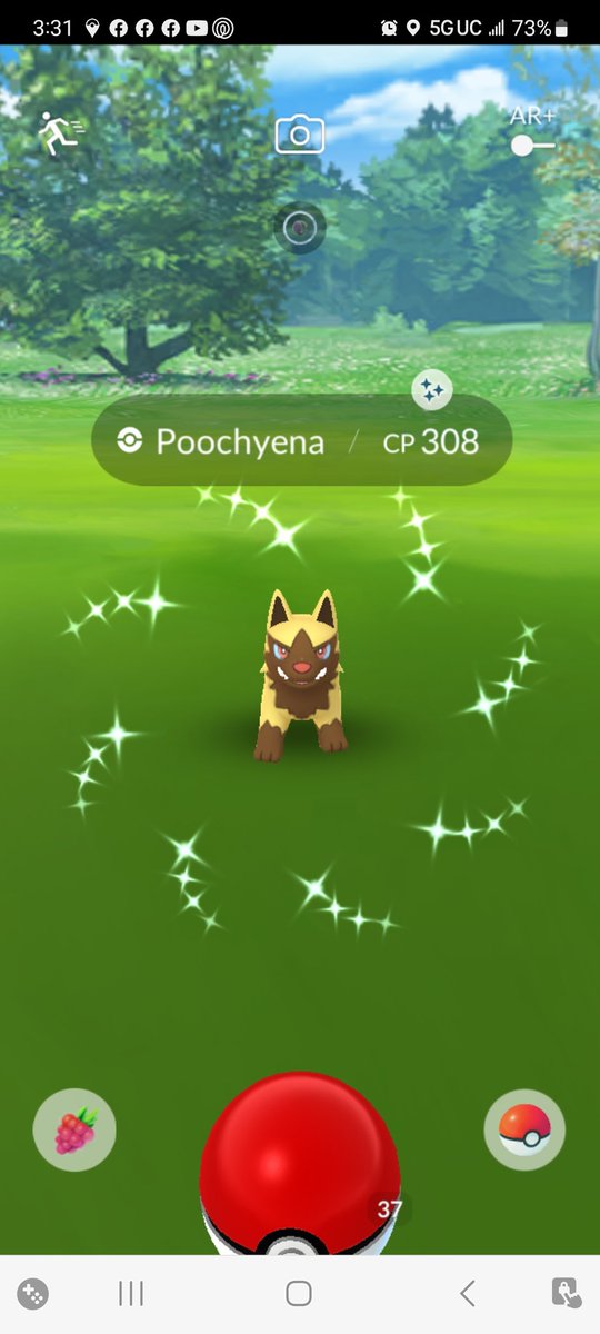lblancelot's tweet photo. Today.... picked up 2 more yollow wolfies. That's 4 so far since event started. 🤦♀️ Not to mention Shiny Shadow Mewtwo with horrible IV's. 🤦♀️ ...but I got one. 🤷♀️ ✨✨✨
#PokemonGO #ShinyPokemon #ShinyShadowMewtwo #Mewtwo https://t.co/d1hKMFyBTY