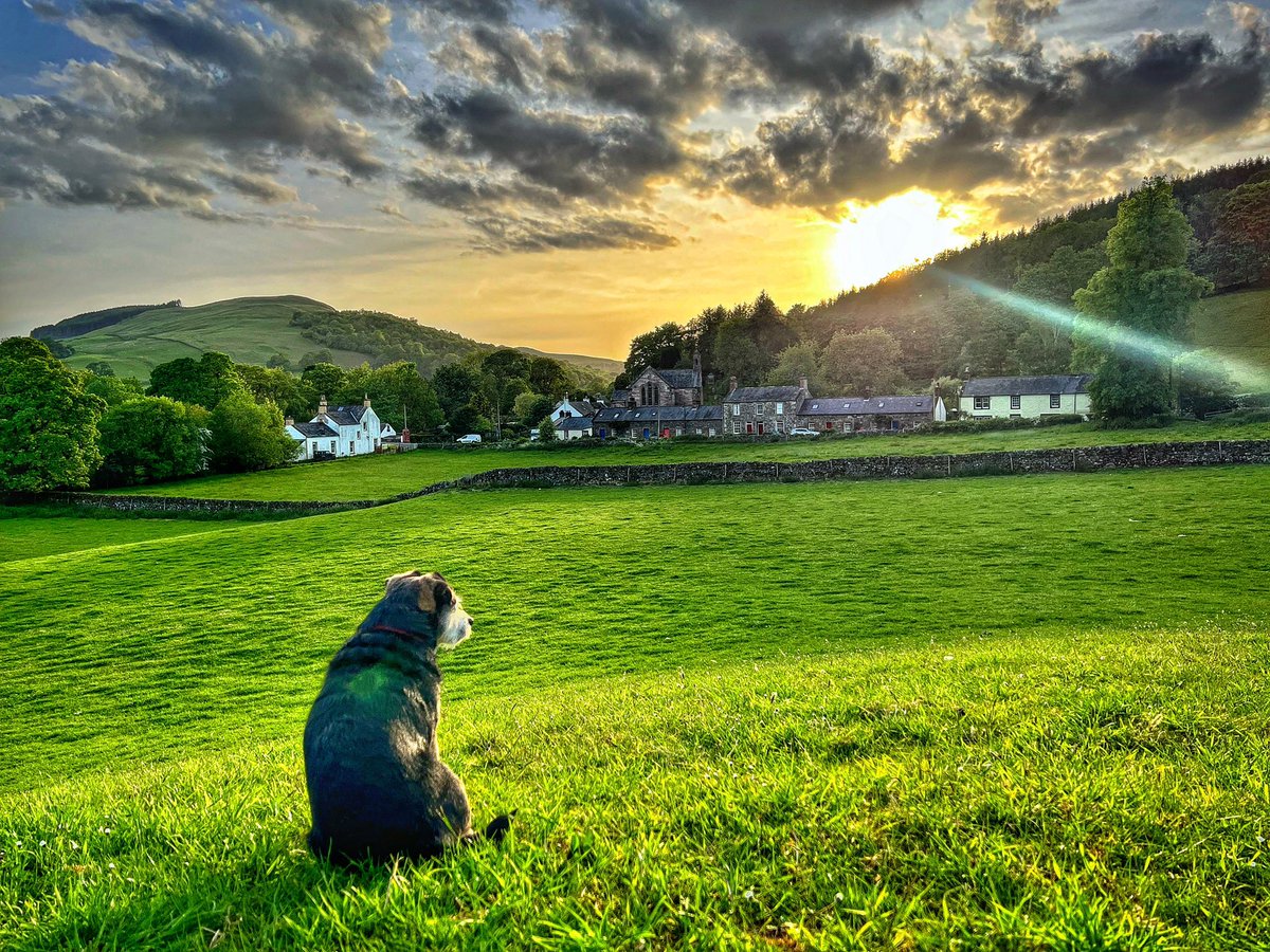 Spending the ‘Golden Hour’ with the best company. <a href="/VisitScotland/">VisitScotland</a> <a href="/DGStandard/">Dumfries Standard</a> #dogsoftwitter #tynron