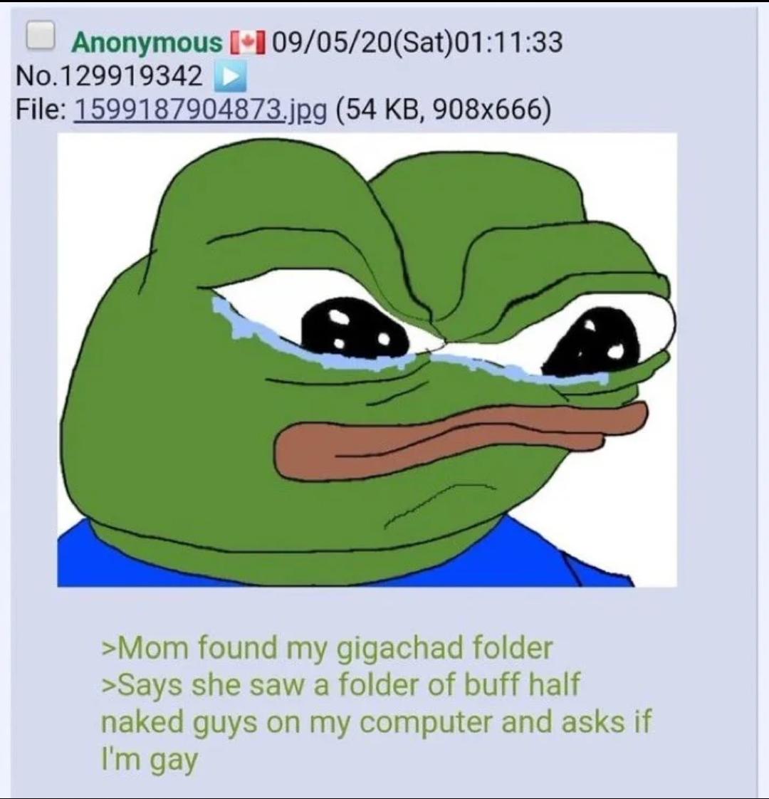 GalleryMemes074's tweet photo. @greentexts_bot Anon is gay https://t.co/d0WtISk9hp
