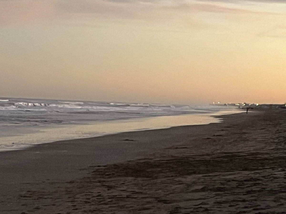 Fernando Rubio tweet media