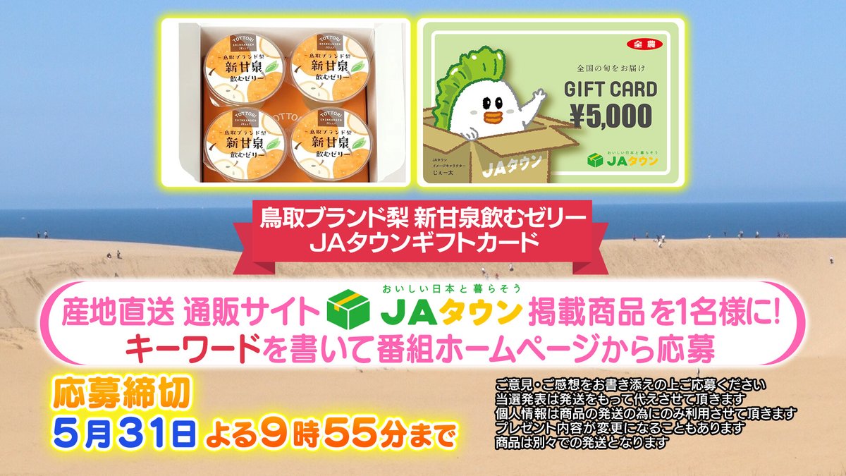 お値下げ不可 白地にパステル調の横段柄に花紋が織られた袋帯 着物