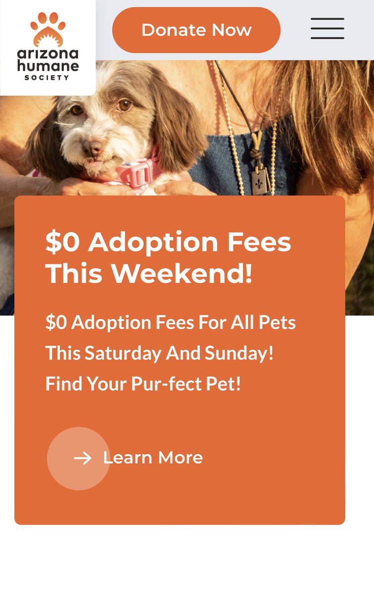 baby girl tweet media