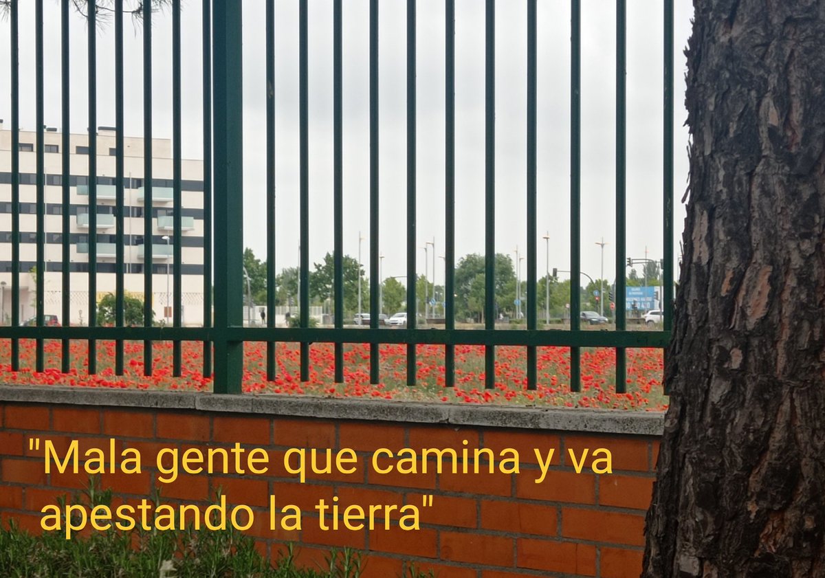 Henar Redondo tweet media