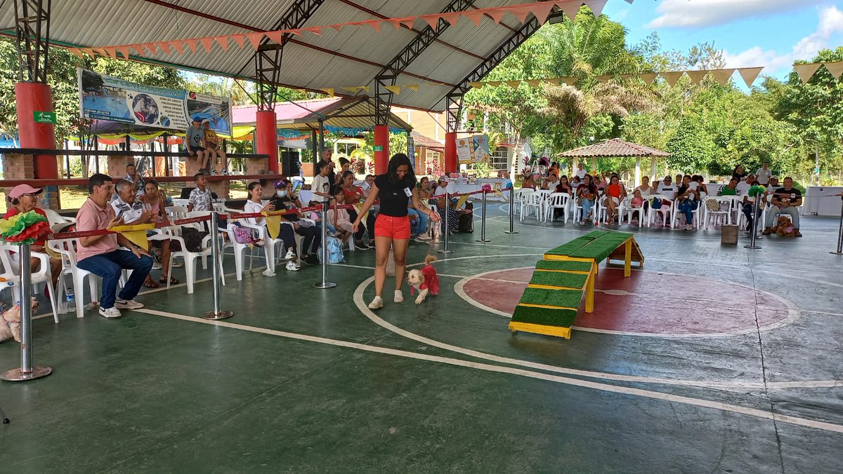Ejercito_Div6's tweet photo. El Batallón de Ingeniero N°27 la @AlcPuertoAsis, el Colegio Campestre #Comfamiliar, realizó el primer festival canino donde el @COL_EJERCITO, presento sus caninos que hacen parte de los equipos de EXDE que cuidan y velan por la tranquilidad en la región.
#ProtegemosLaVida https://t.co/fgJUBq977o
