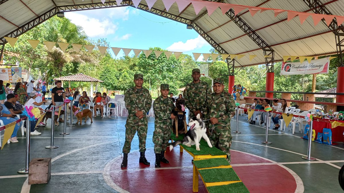 Ejercito_Div6's tweet photo. El Batallón de Ingeniero N°27 la @AlcPuertoAsis, el Colegio Campestre #Comfamiliar, realizó el primer festival canino donde el @COL_EJERCITO, presento sus caninos que hacen parte de los equipos de EXDE que cuidan y velan por la tranquilidad en la región.
#ProtegemosLaVida https://t.co/fgJUBq977o