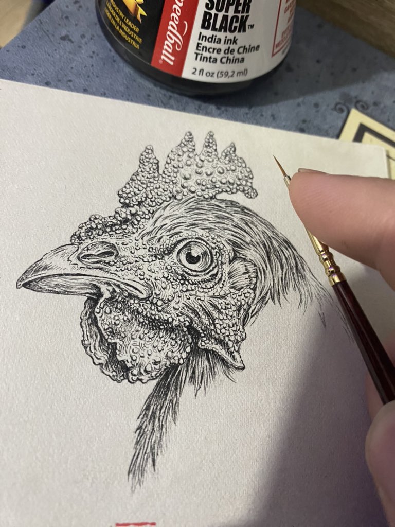 artbyigorkrstic's tweet photo. “Chicken”
Available for 150$ plus shipping. India ink on bristol vellum 500
Dm if interested
#indiaink #speedballink #escodabrushes #bristolpaper #bristolvellum #traditionalart #lineart #noai #noaiart #art #drawing #animaldrawing #arte https://t.co/JMwxSeBOEA