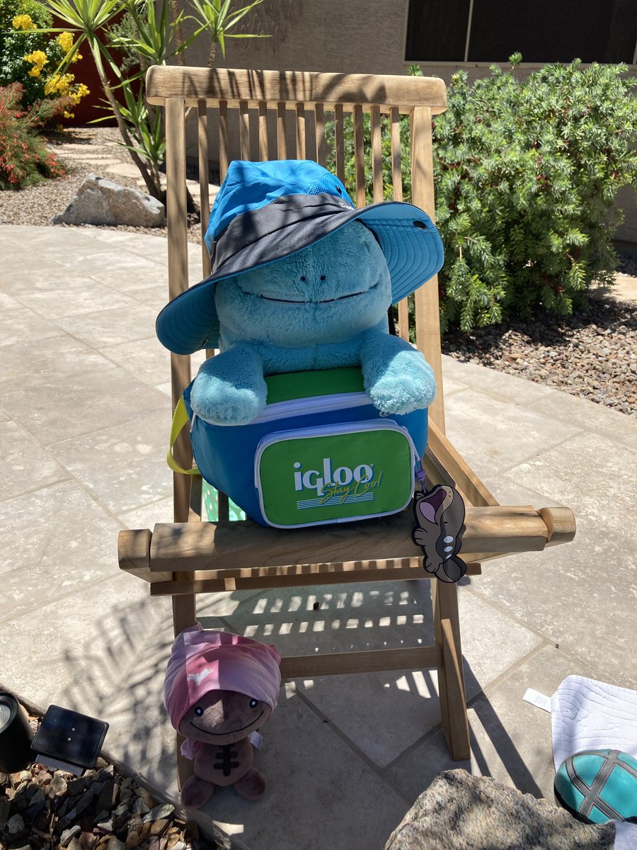 Water type pool party!! 

#watertypepoolparty
#pokemonplush
#myplushies