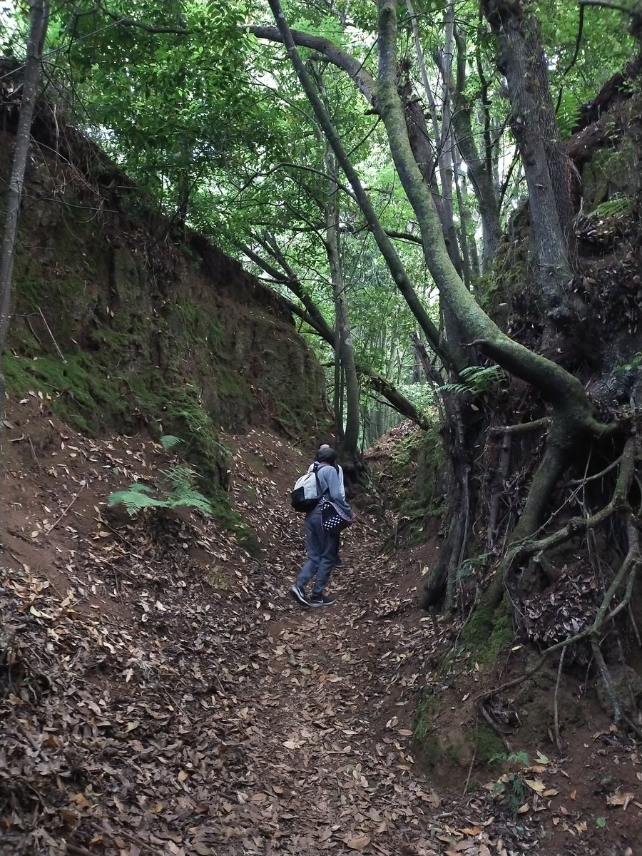 TodooFluye's tweet photo. Descubriendo caminos https://t.co/dam9SkaMvT