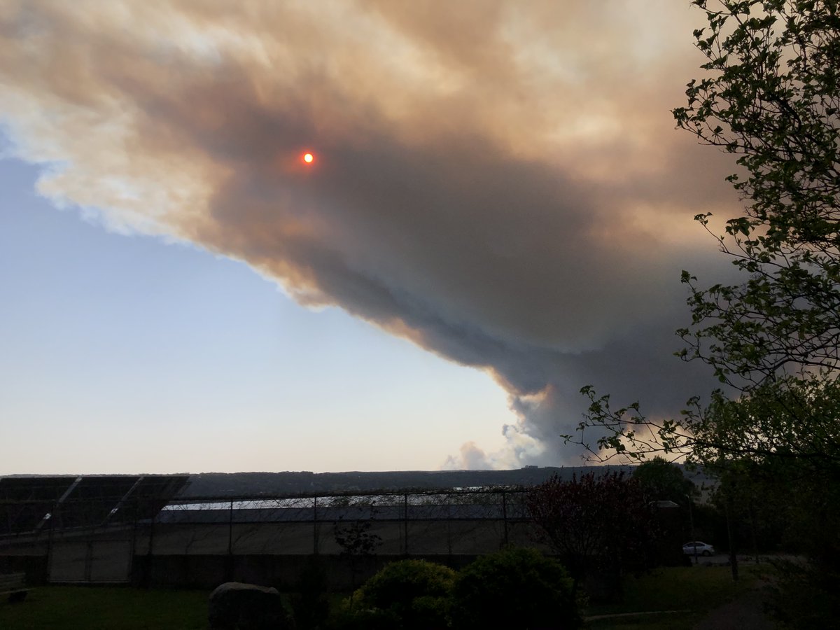 MediatorBen's tweet photo. Take it easy and stay inside if you can in Halifax/HRM right now.
I took this photo on a dog walk a few minutes ago and immediately started feeling lightheaded/unwell. It took me by surprise - so take care out there!
#Halifax #NovaScotia #NSFire #Tantallon #NSWeather #Sackville https://t.co/xwY7p4AJUJ