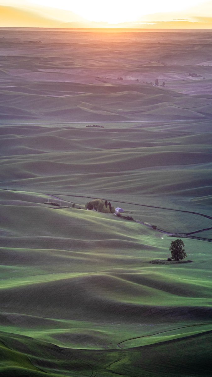 ashclicks09's tweet photo. I missed going to Palouse this season, so sharing photos that I shot a few years back.
Shot with @CanonUSA 5D Mark 4
Edited using @Lightroom + @Photoshop
#Palouse #EasternWA #washingtonstate #landscape https://t.co/uHwVMK3t9f