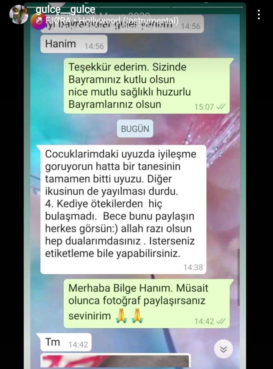 glrshbs's tweet photo. Lütfen WhatsApp'tan yazın 0542 489 20 89 #Gençlikhastalığı #dışparazit #içparazit #kulakuyuzu #köpekler #kediler #köpek #pomeran #uyuz #fib #tüybakımı #Pomerian https://t.co/9kssW74DhS