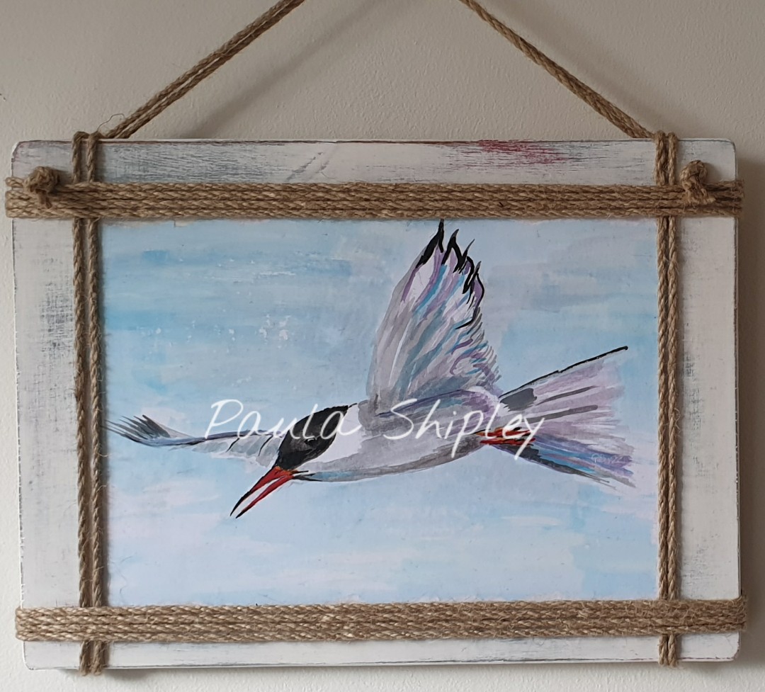 paulasykes1971's tweet photo. A few recent pieces mounted onto wood.
#Atlantic_puffin & #common_tern
@paulcoombes844 @RossSykes117 @Bempton_Cliffs @FlamboroughBird https://t.co/6Avdx6PWSu